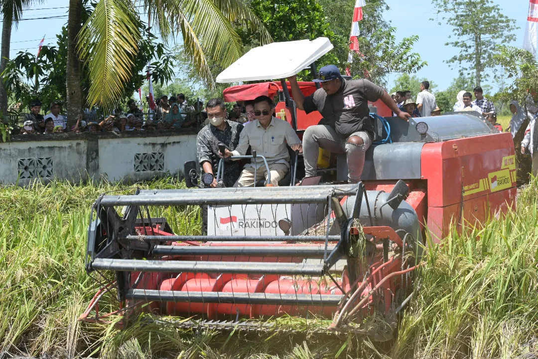 Ilustrasi TNI AU Dukung Ketahanan Pangan Lewat Panen Raya Serentak