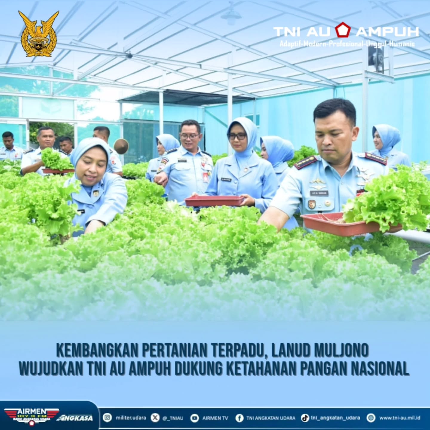 Ilustrasi Lanud Muljono Gelar Panen Raya Dukung Ketahanan Pangan Nasional